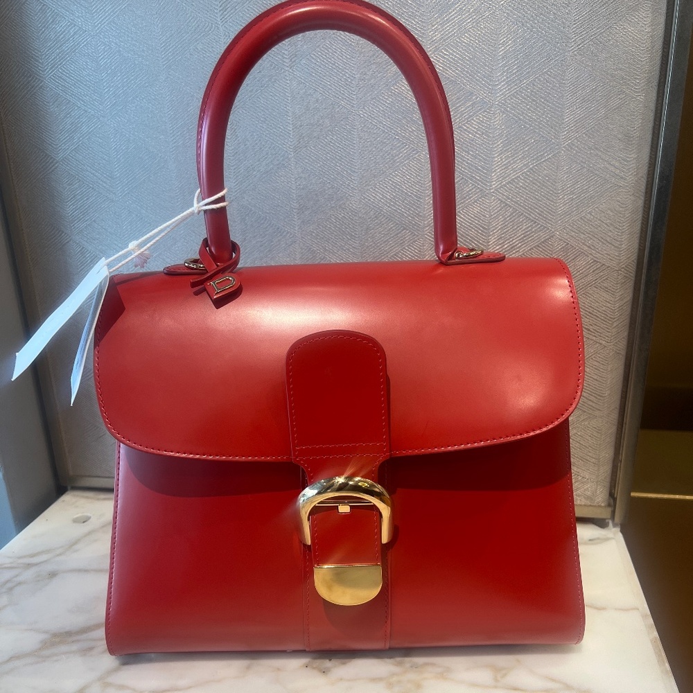 COPY - COPY - Delvaux handbag